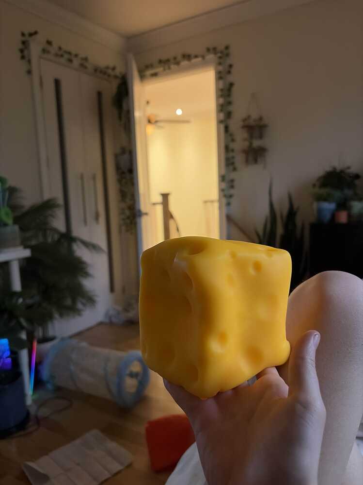 Jumbo Cheese Squeeze Block